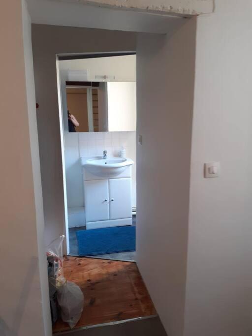 Promo 6-13Juin 4Personnes Toulouse 15Mn 3 Lits Cuisine Sde Wc Lägenhet Montastruc-la-Conseillère Exteriör bild